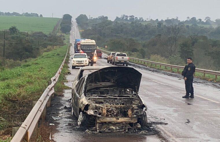 Delincuentea asaltaron transportadora y incendiaron varios vehículos